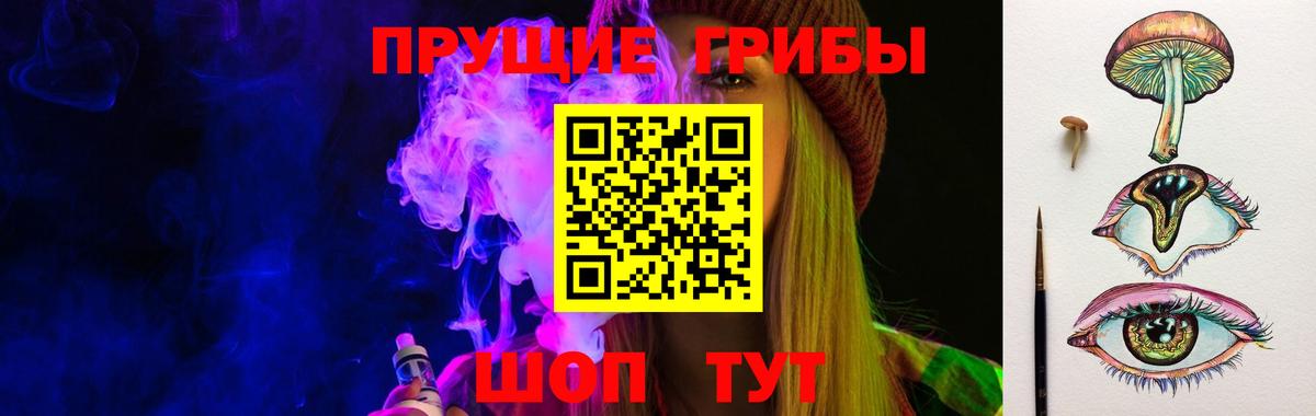 Псилоцибиновые грибы Psilocybe Чита